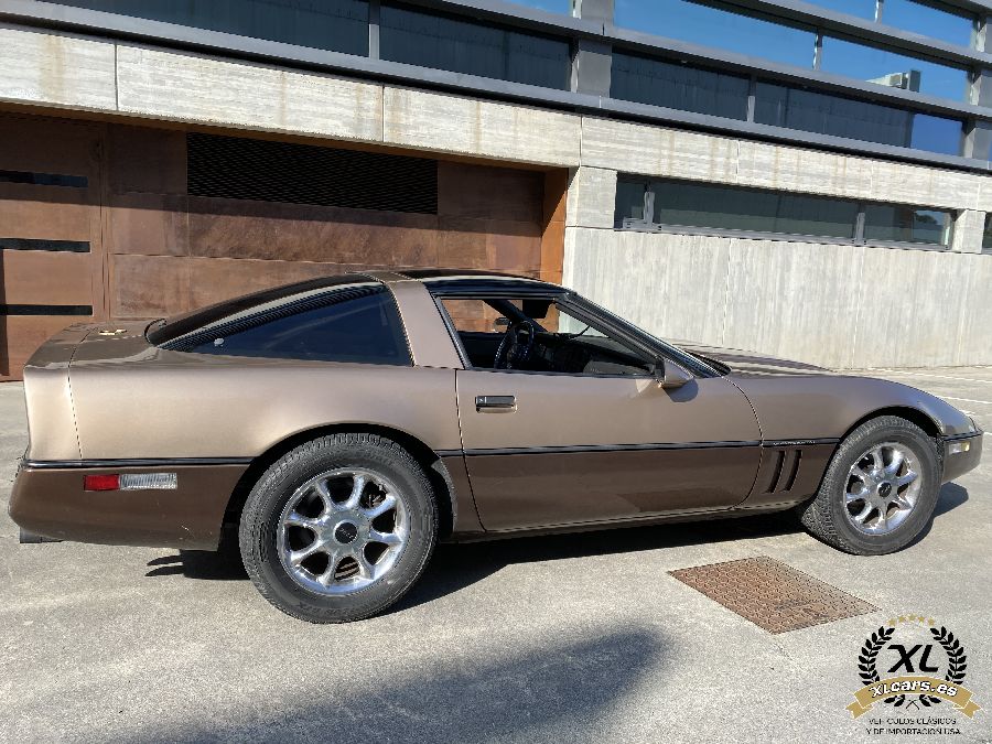 Chevrolet-Corvette-1984-4